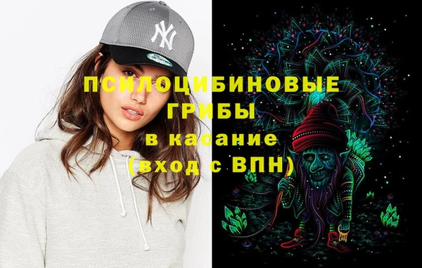 дурь Нея
